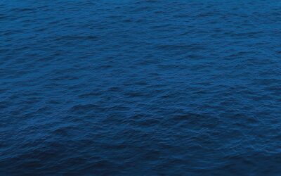 Digital Basics – marketing automation & GDPR