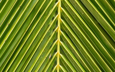 Service e aziende gestite in modo sostenibile: qual è il collegamento?